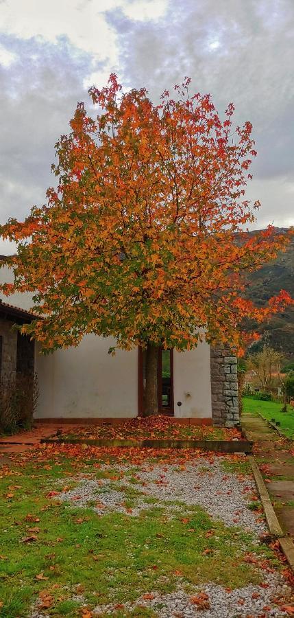 Villa La Calma De Llanes Exterior foto